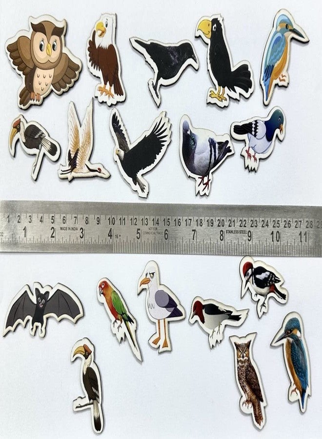 DIHAWK 100 Pieces Boho Birds Classroom Decorations Mix Cutouts Bird Bulletin Board Decorations Colorful Flowers Cut-Outs Springtime Blooms Cutouts with Glue Point Dots for Home Classroom Supplies - Image 3
